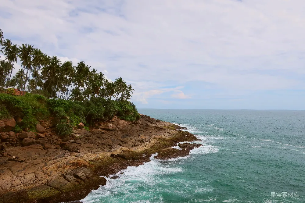 高清摄影  岩石海岸线，棕榈树和蓝色的海浪。