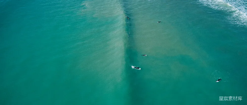 高清摄影  一群人在海浪上骑冲浪板。