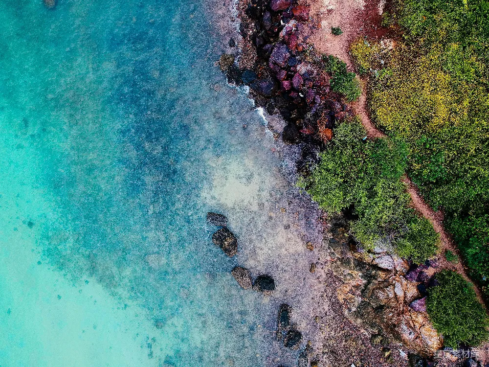 高清摄影  树木和水面的景色