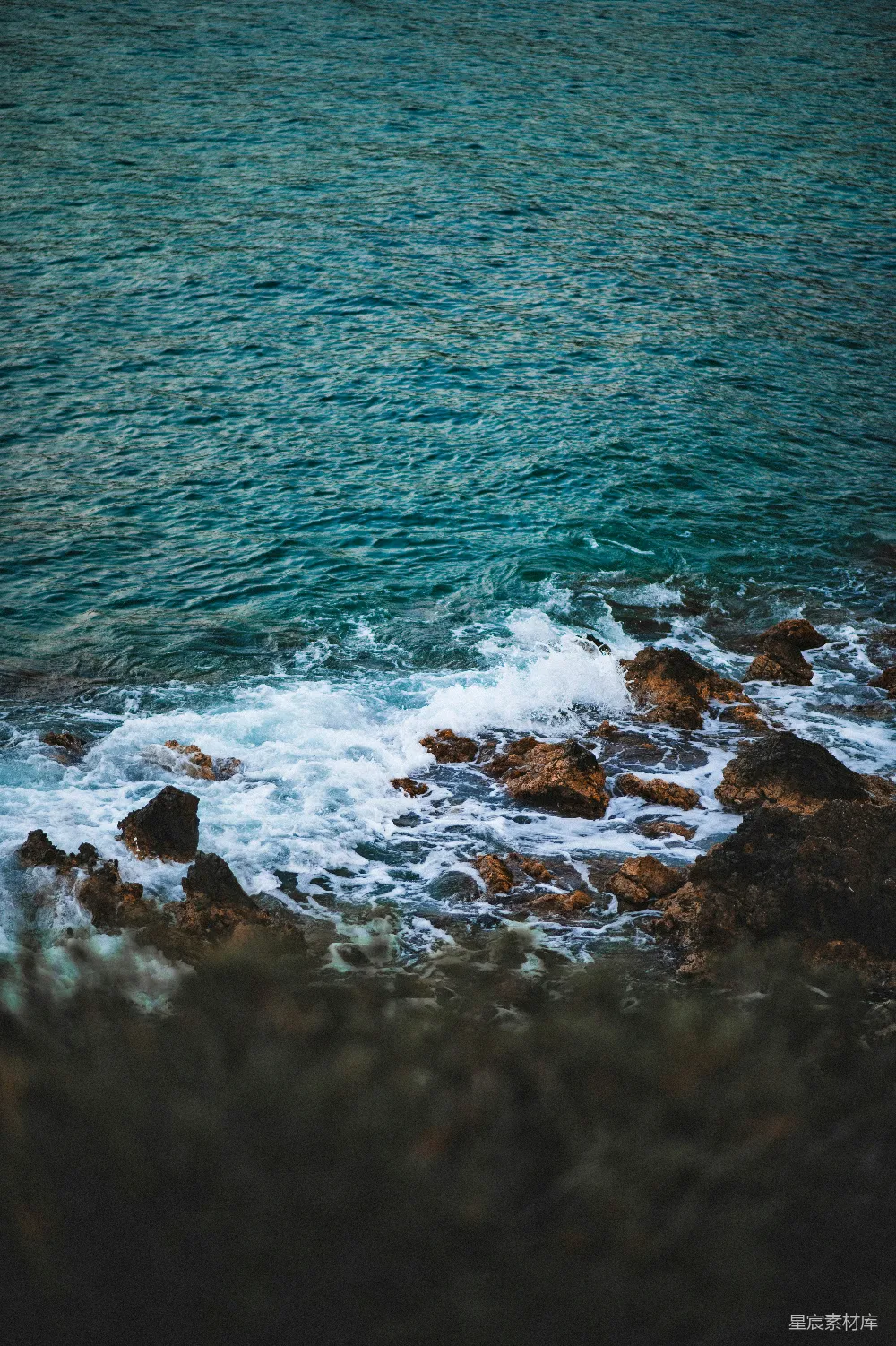 高清摄影  一只鸟坐在靠近海洋的岩石上