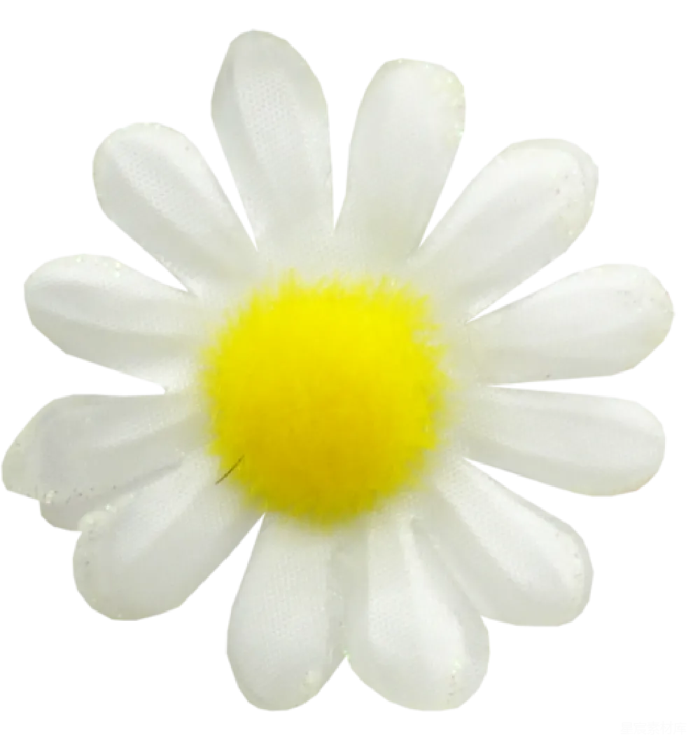 元素素材 洋甘菊