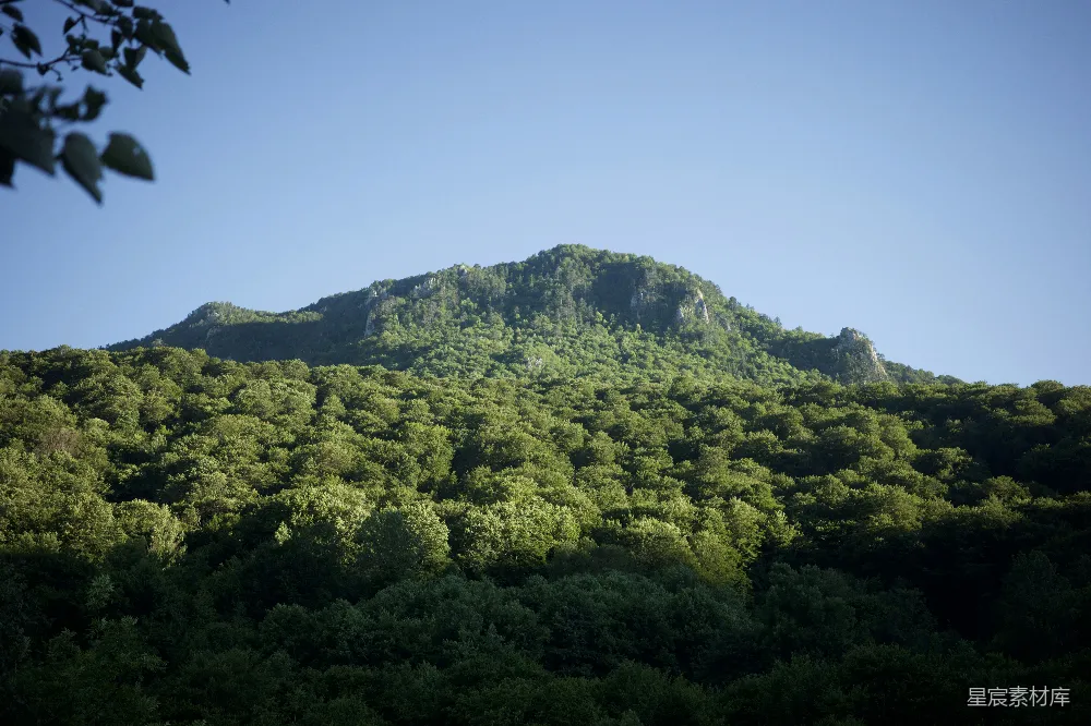 高清摄影 自然 旅行 壁纸 一座山，旁边长着树木。