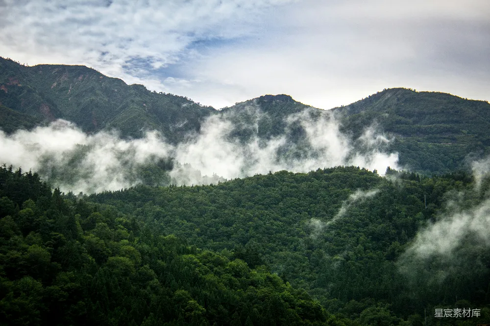 高清摄影  绿树和山景