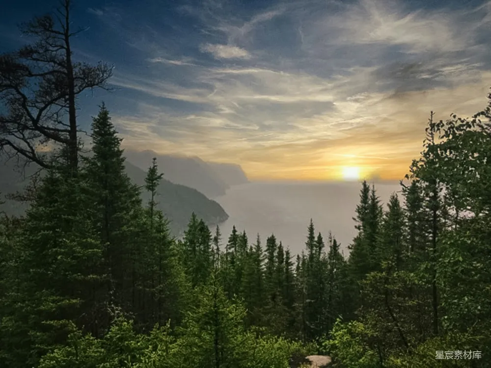 高清摄影  白天山边的绿松树