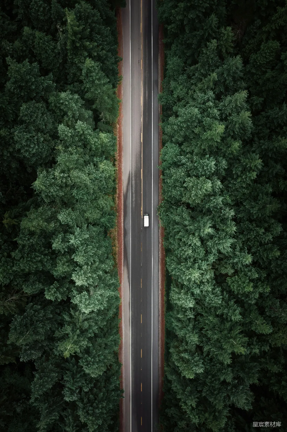 高清摄影  白天的空中俯瞰绿树的景色