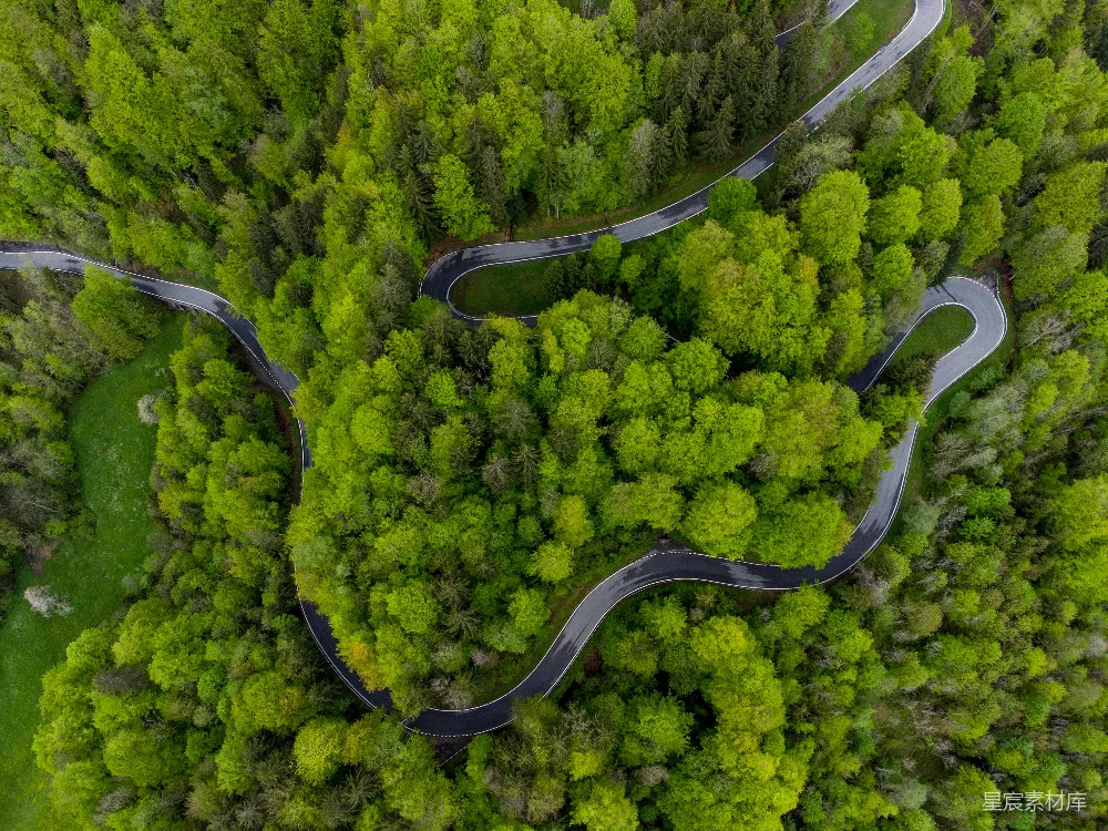 高清摄影  空中俯瞰绿树