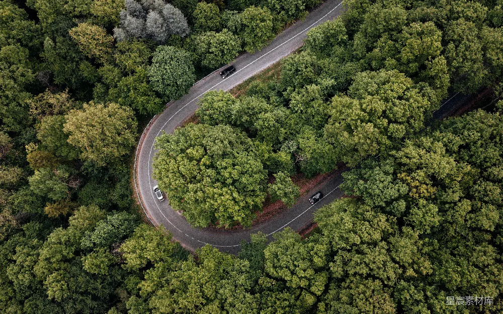 高清摄影  白天的空中俯瞰绿树和道路