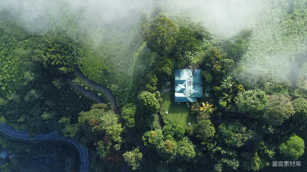高清摄影  空中俯瞰森林中央的一栋房子