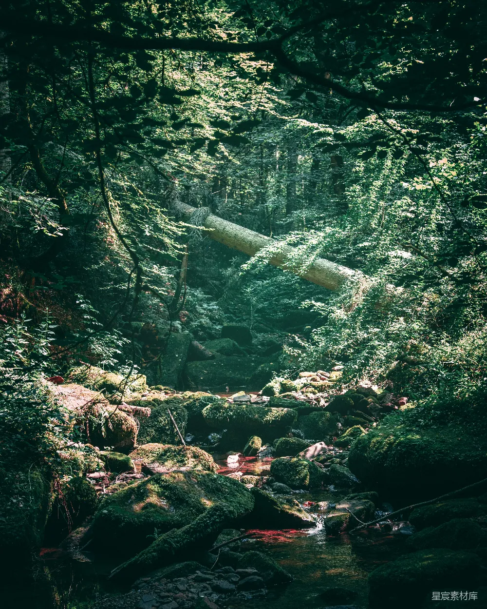 高清摄影  河流旁树木环绕的风景摄影