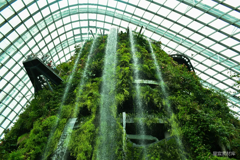 高清摄影  建筑内的绿色树木