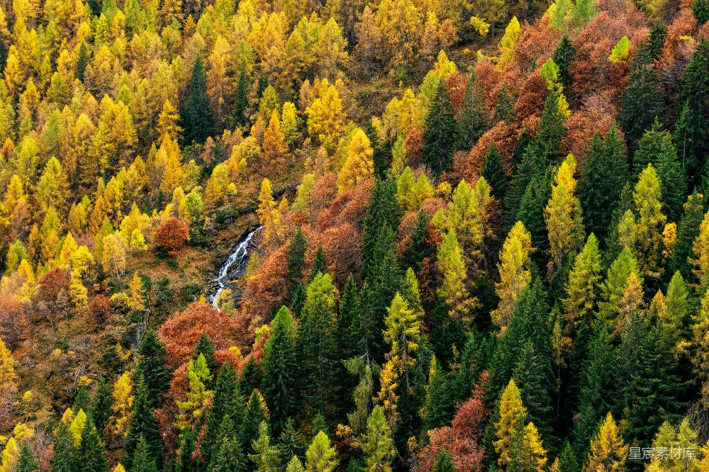 高清摄影 旅行 自然 壁纸 森林的空中俯瞰图，有许多树木。