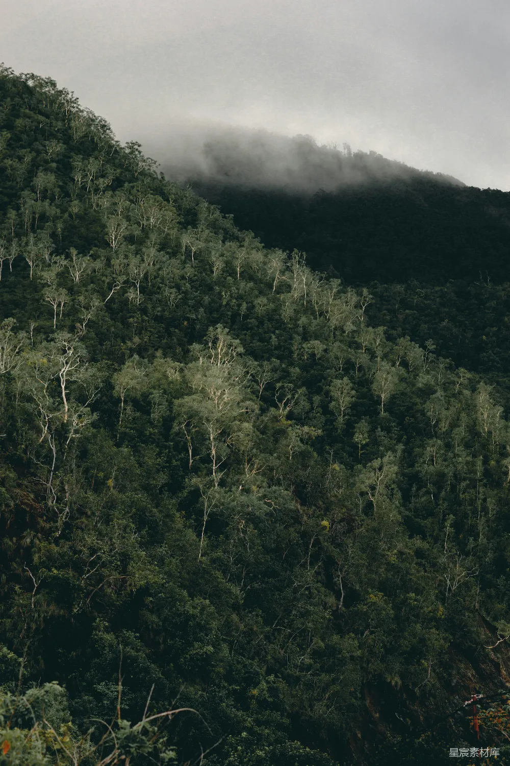 胡库里拉的风景