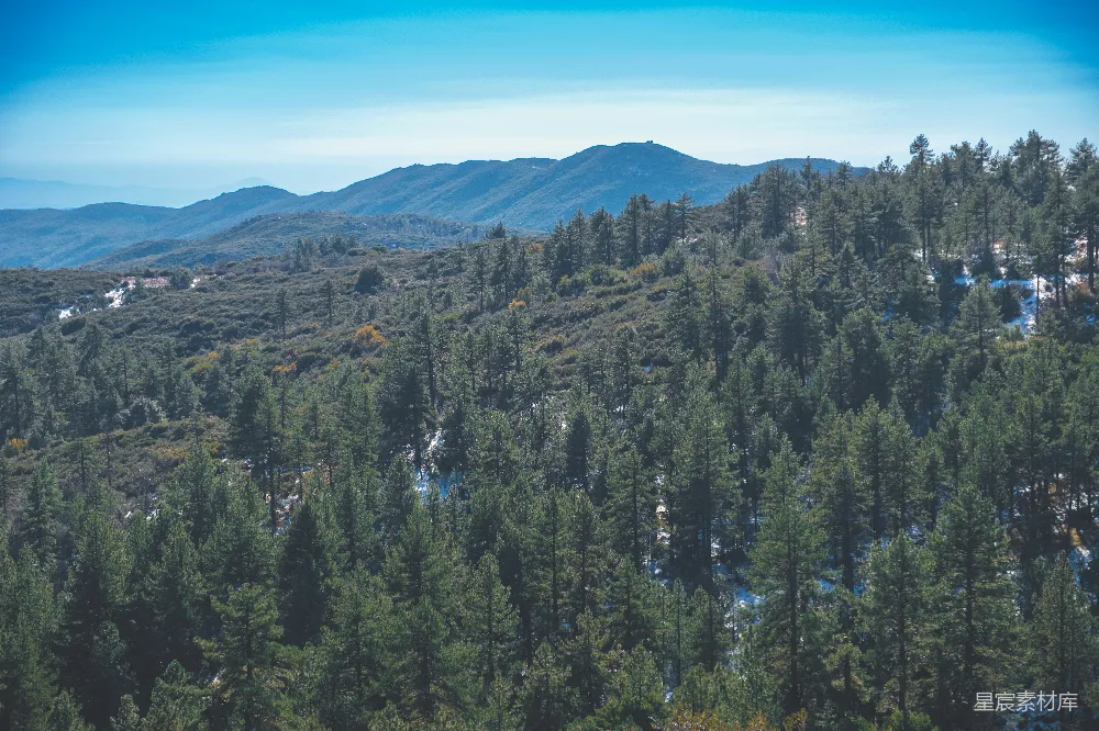 高清摄影  一座山脉的远景，前景中有树木。