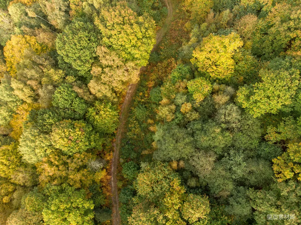 高清摄影  森林中间的公路俯瞰图