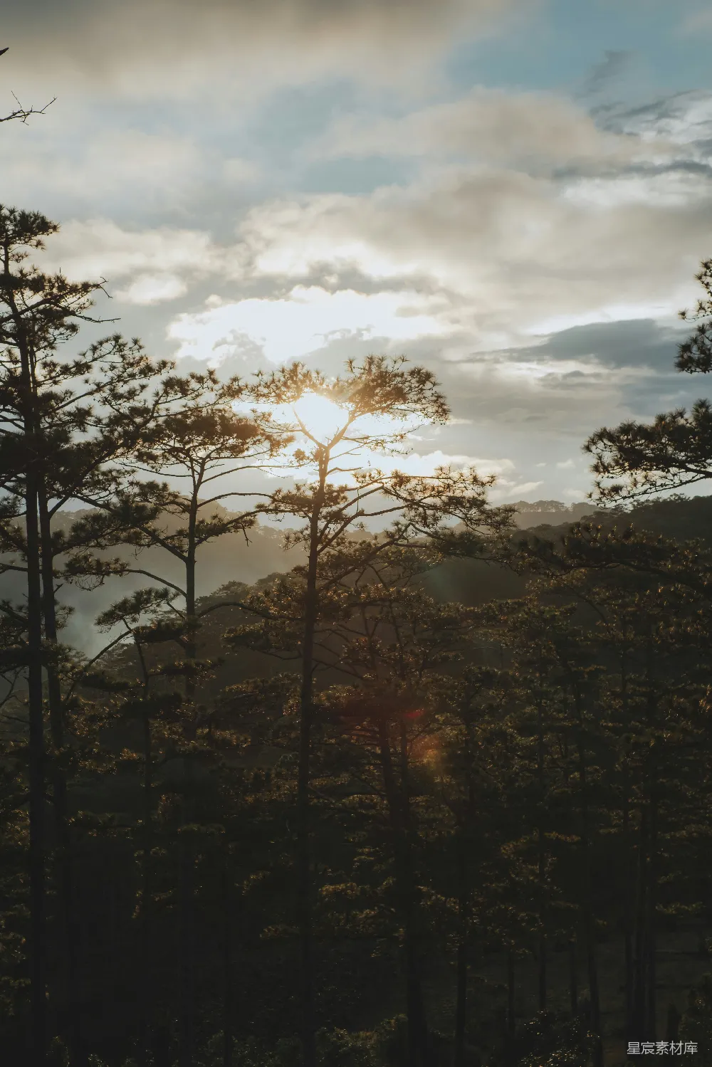 高清摄影  太阳透过云层照耀在树上。