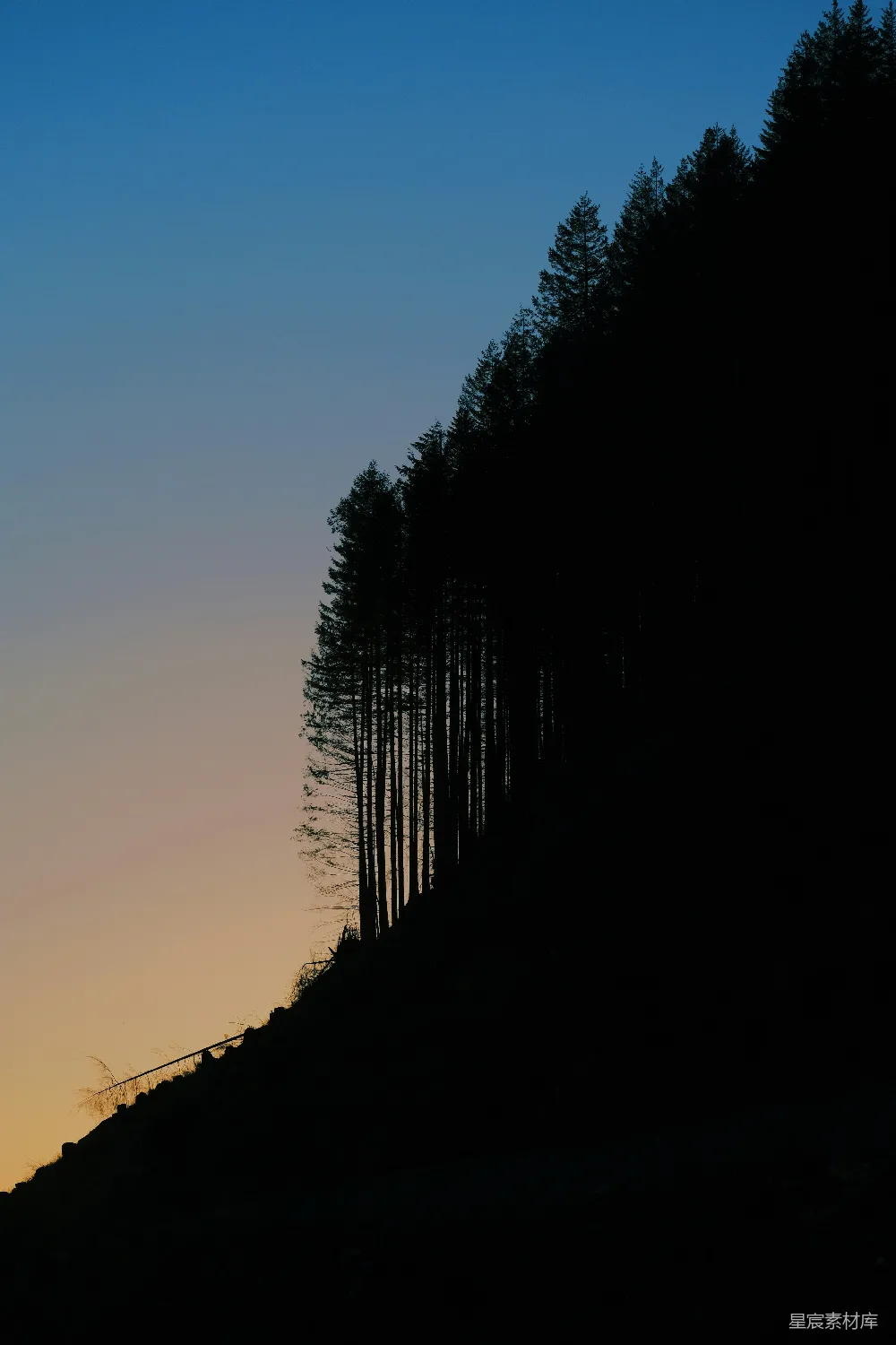 高清摄影  一座山丘上有一排树，背景是日落。