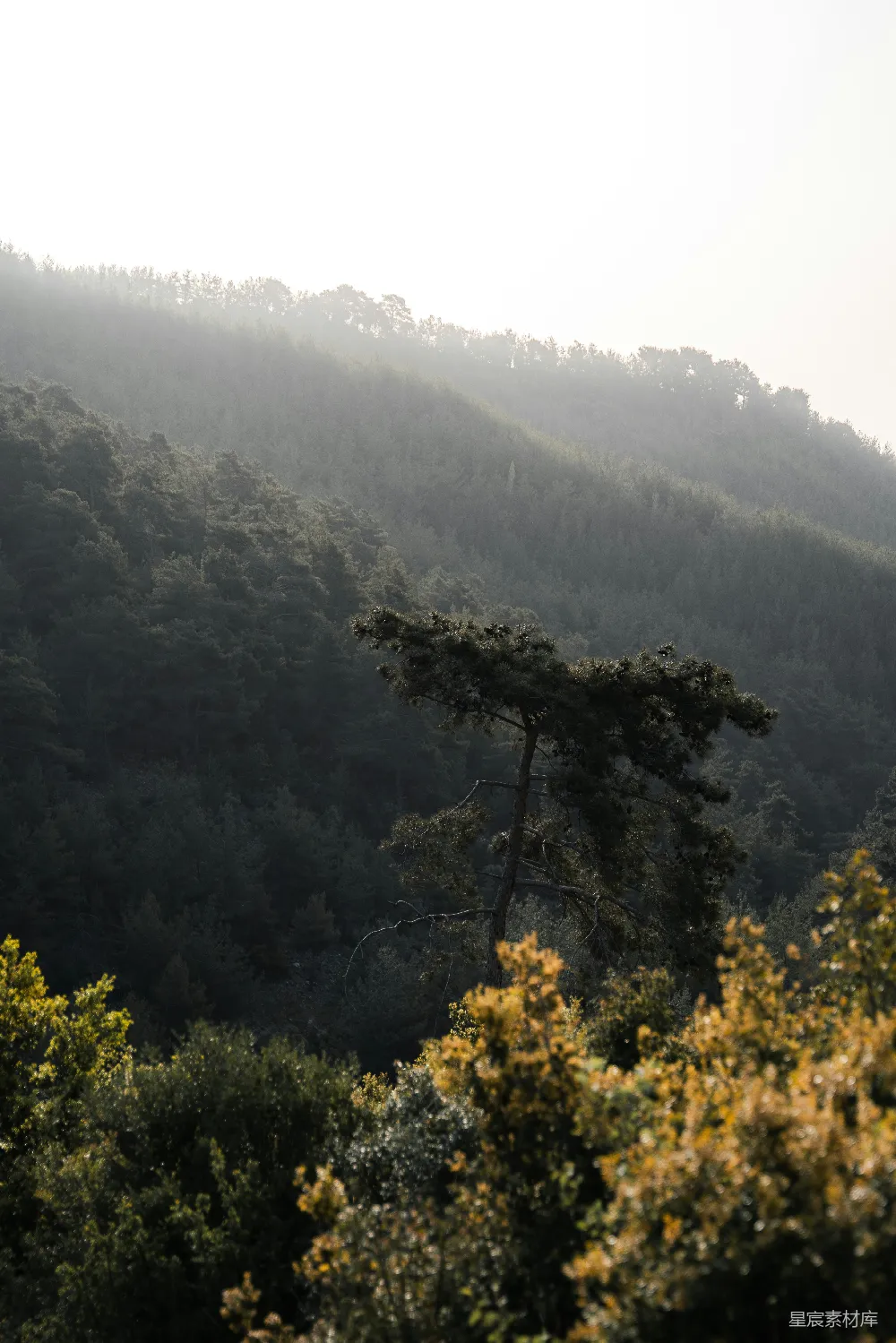 高清摄影 壁纸 自然 旅行 一座山的景色，背景中有树木和丘陵。