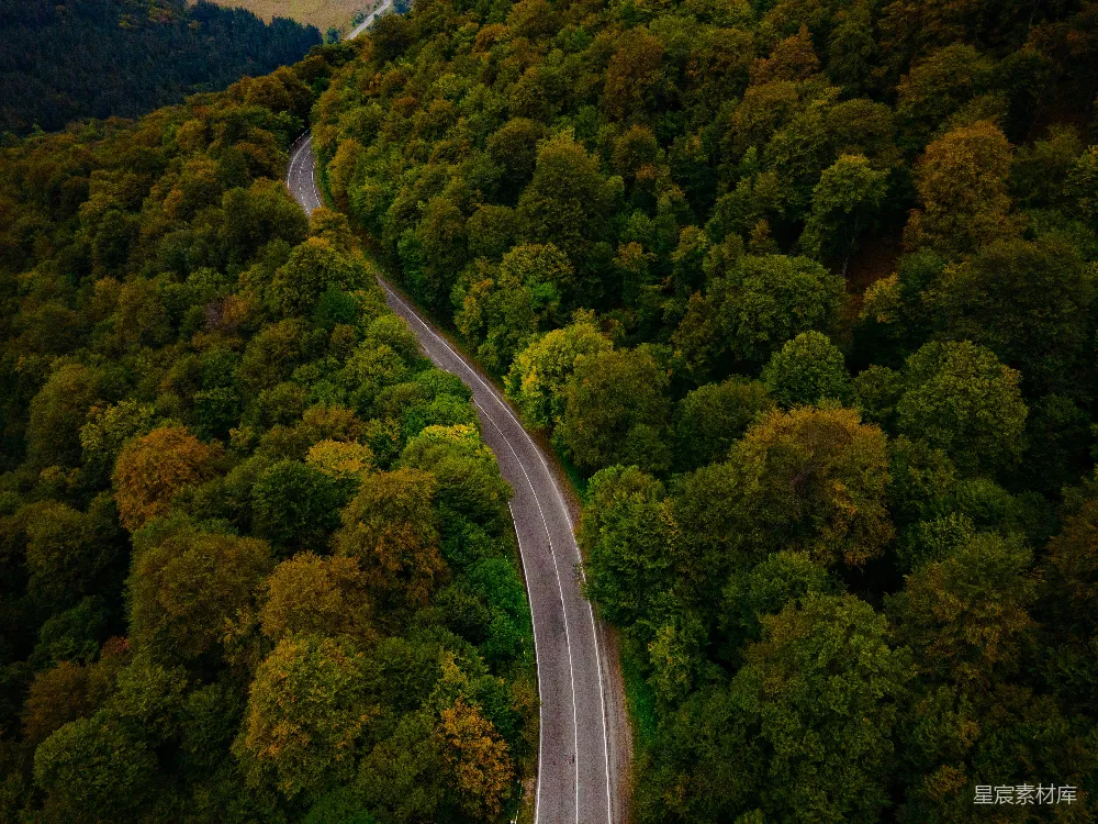 高清摄影  绿树丛中的道路俯瞰图