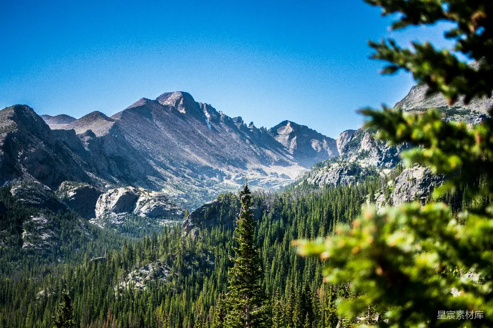 高清摄影  绿树和雪覆盖的山峰