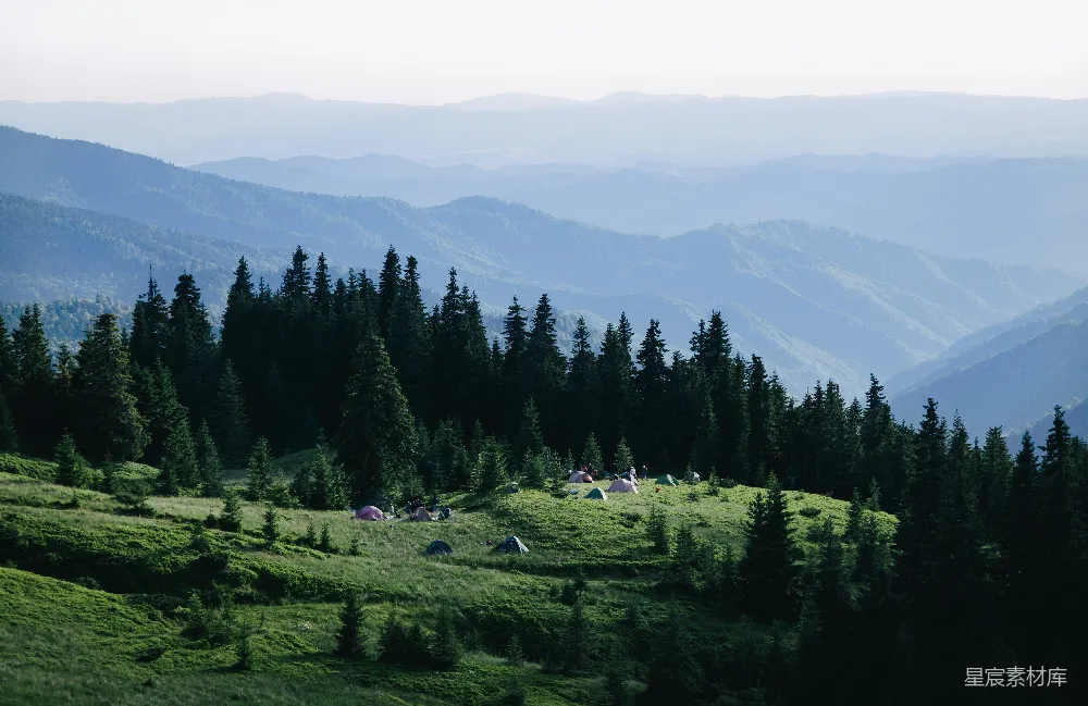 高清摄影 旅行 壁纸 自然 在白天，绿草地上有绿色的松树。