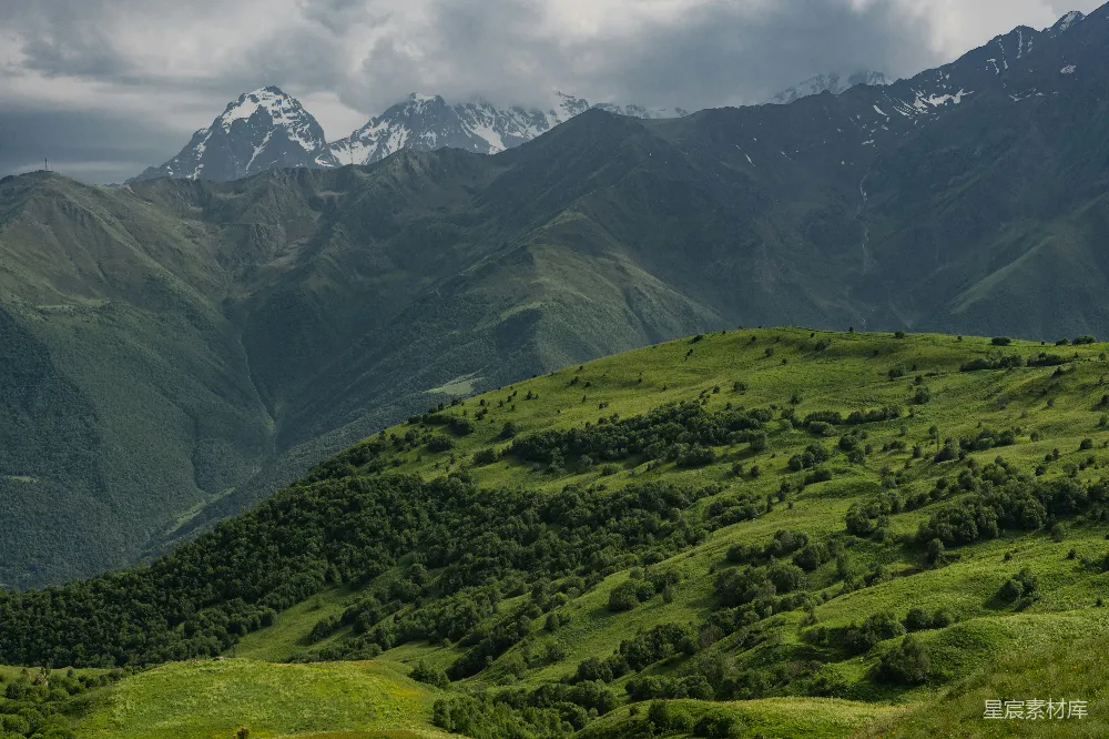 高清摄影  郁郁葱葱的山坡，背景是连绵的群山。