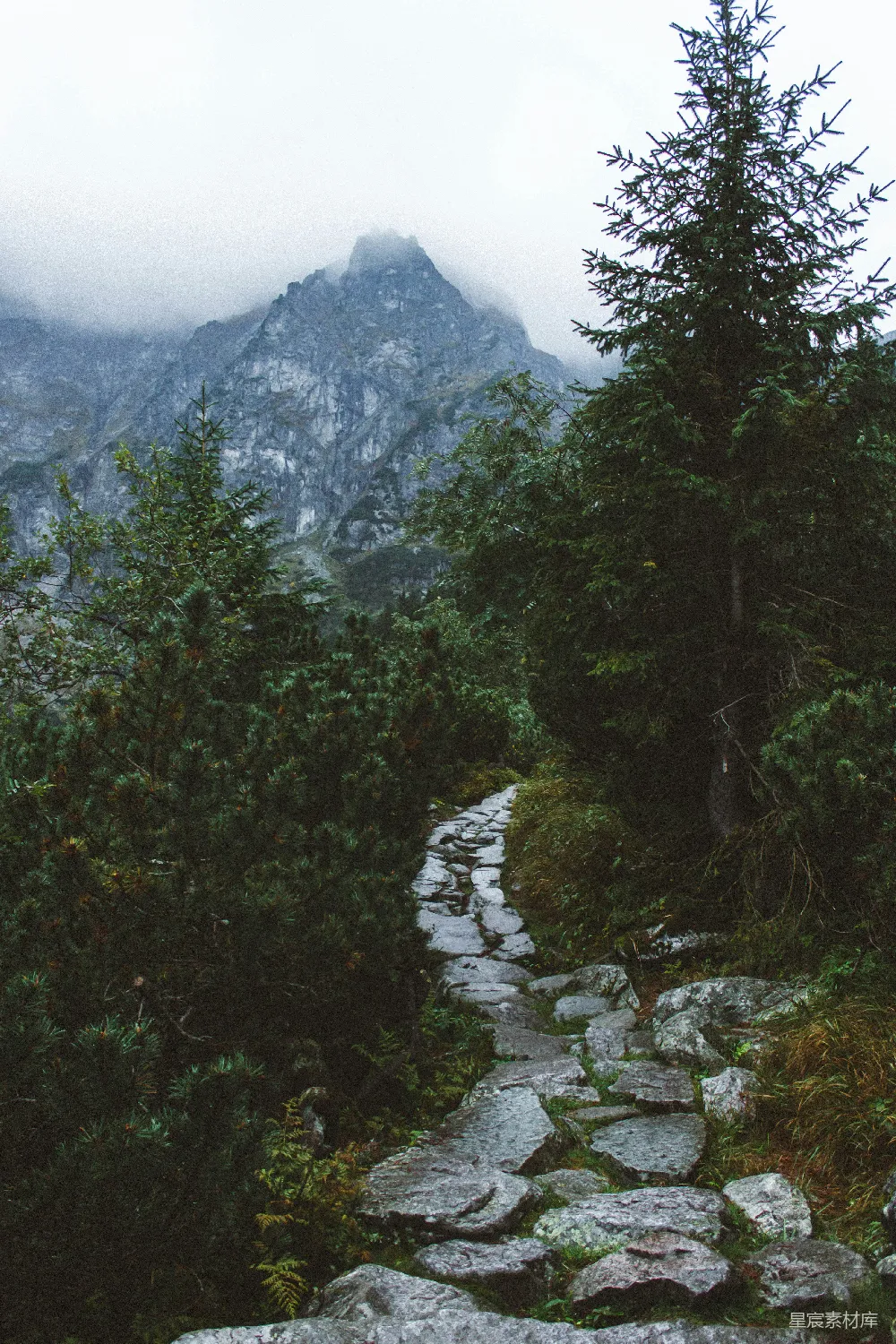 高清摄影  白天岩石山旁的绿树