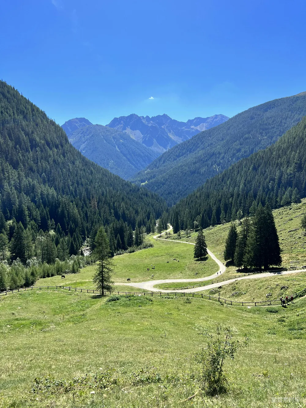 高清摄影  一幅带有树木和背景山脉的风景图