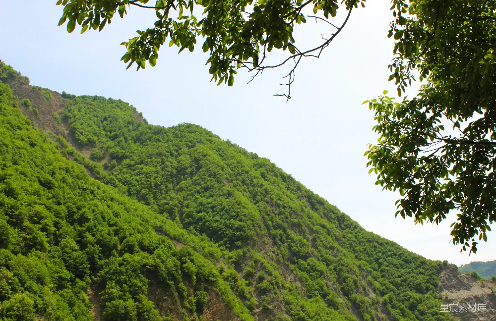 高清摄影  白天被草覆盖的山