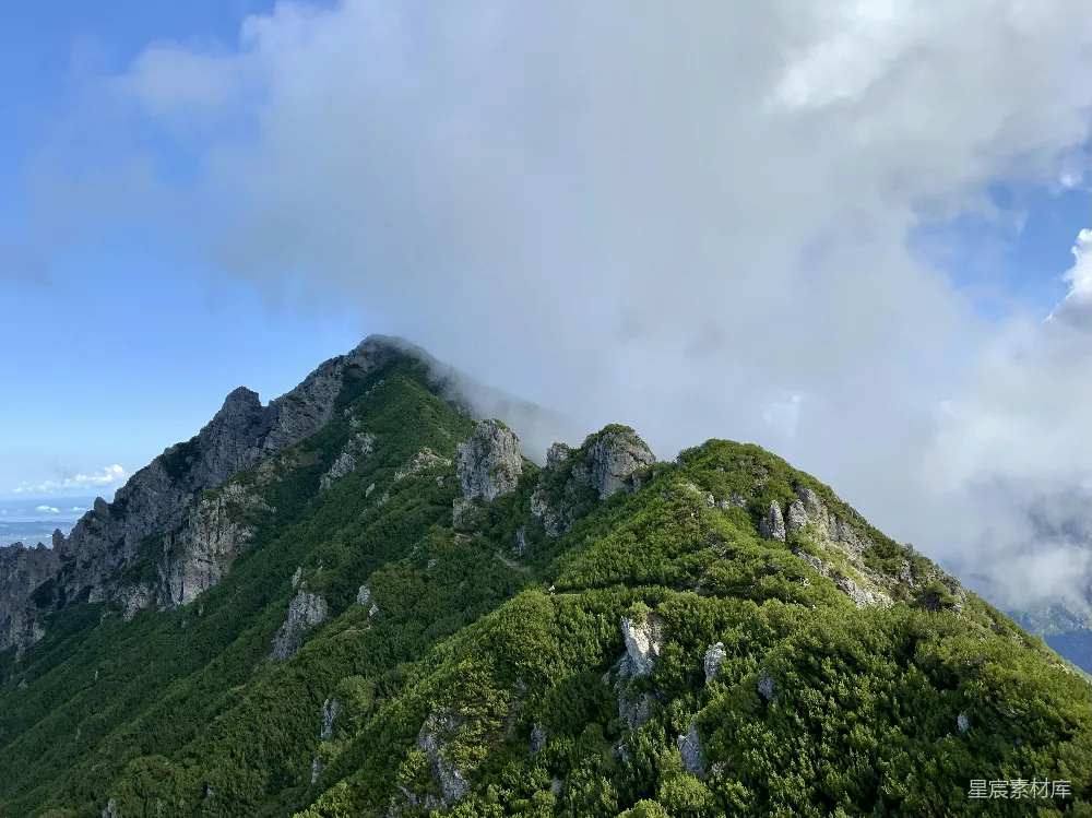 高清摄影  一座山上长着树