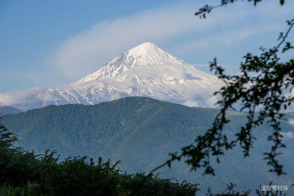 高清摄影 自然 一座雪山上有树木