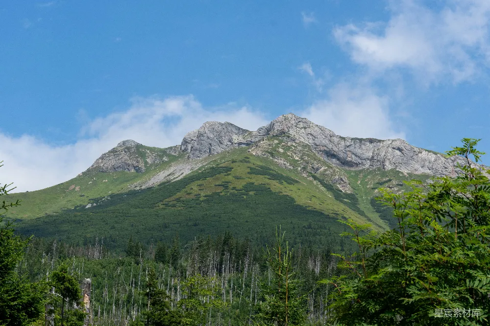 高清摄影  前景中有树木的山景