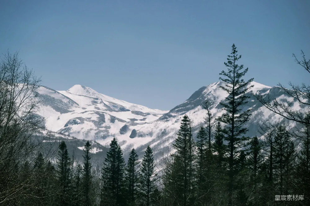 高清摄影 电影 自然 白雪覆盖的山峦矗立在森林之后。
