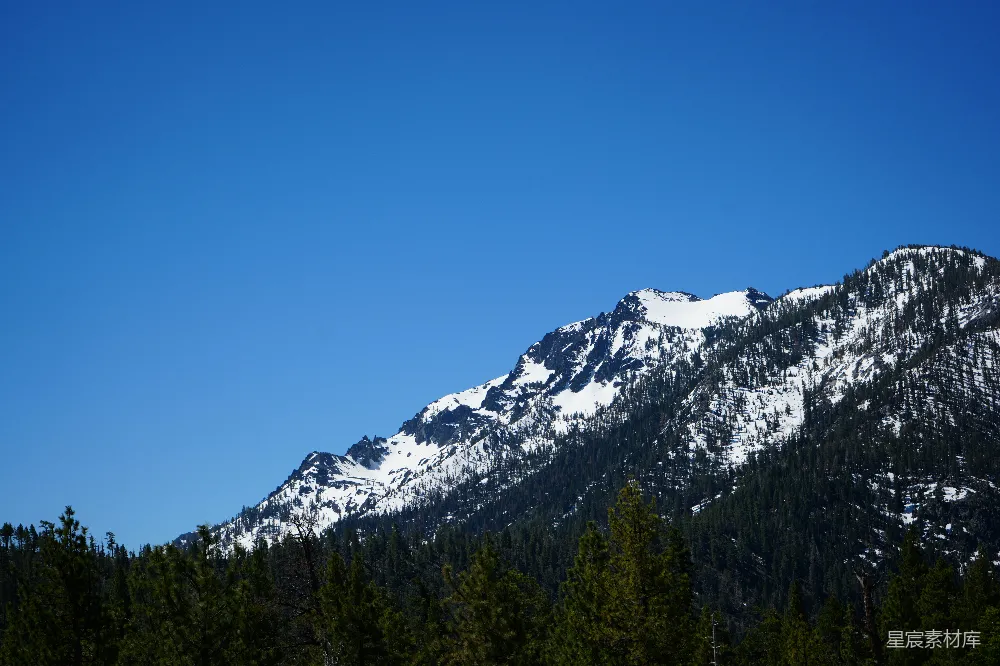 高清摄影  覆盖着雪的山峰，前景中有树木。