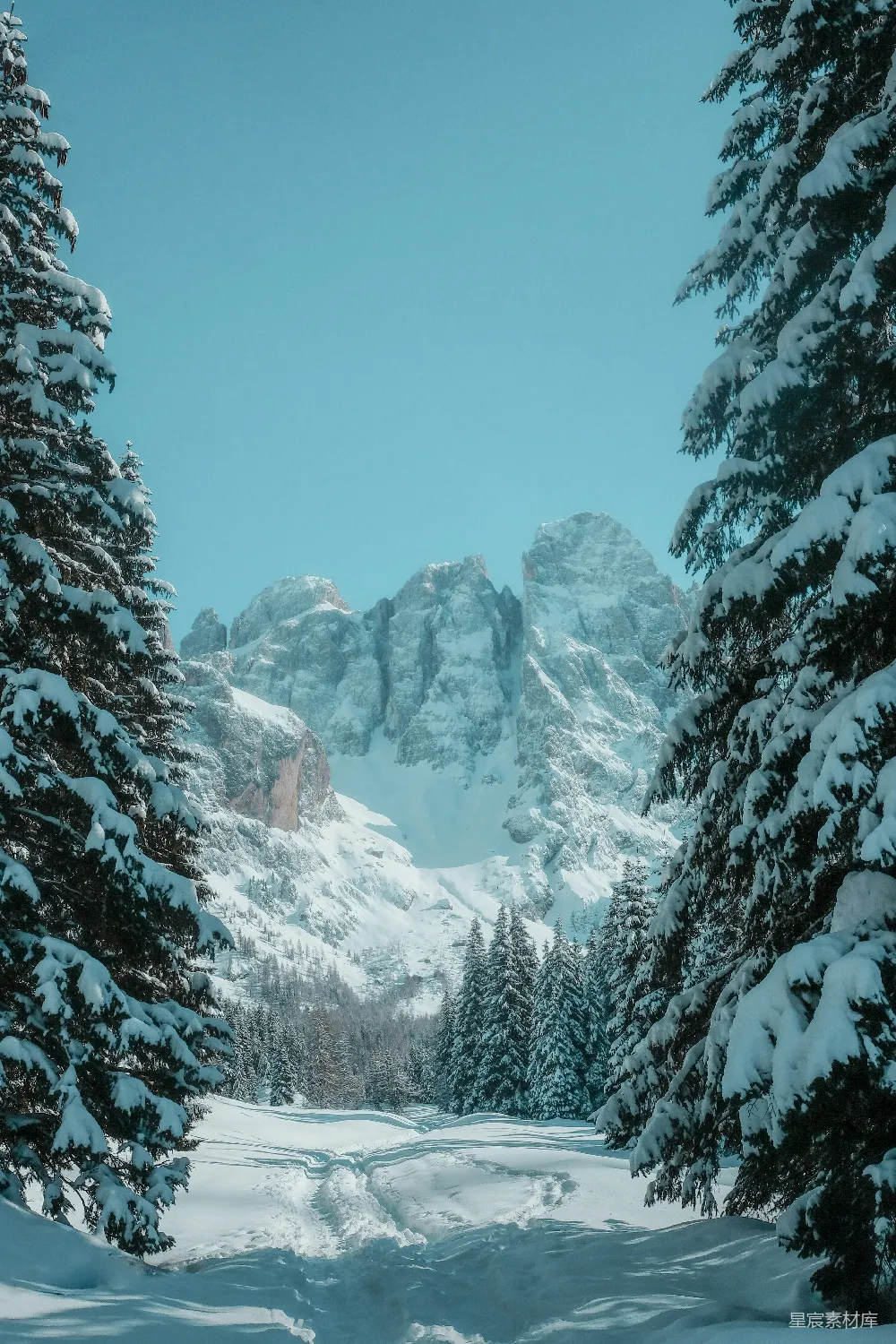 高清摄影  白天被雪覆盖的树木和山脉