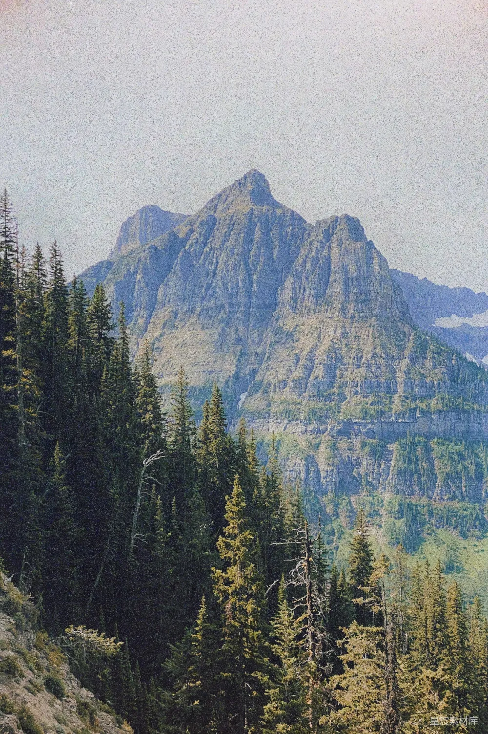 高清摄影 自然 壁纸 电影 一座山脉的远景，前景中有树木。
