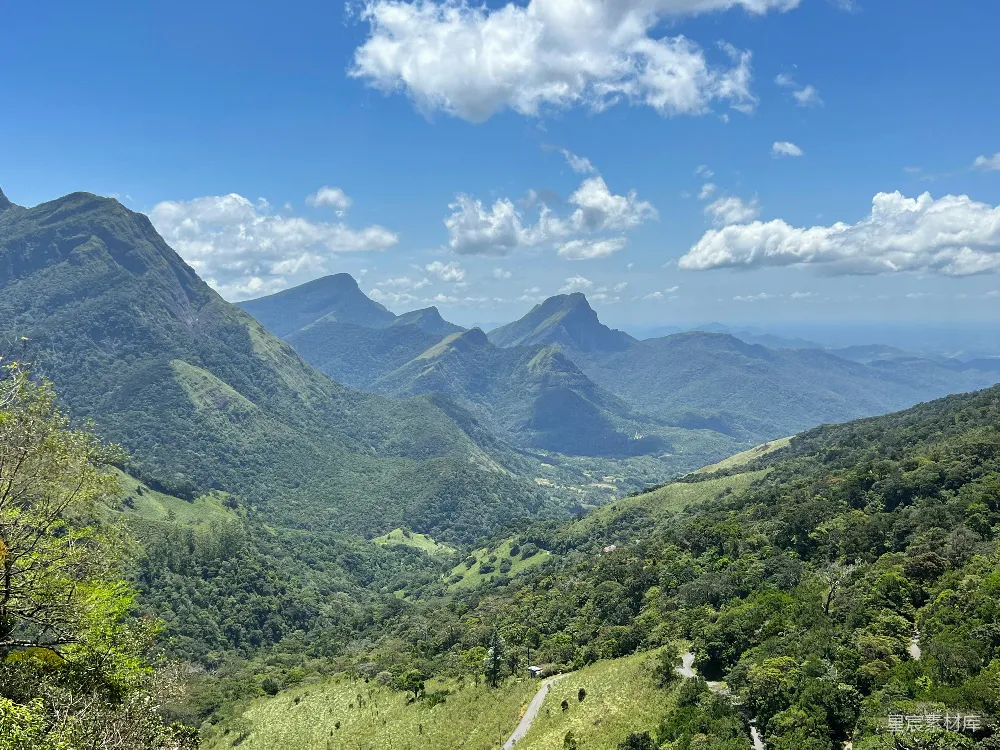 高清摄影  一片树木和山脉的风景