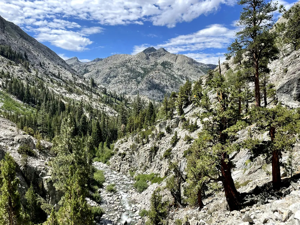 高清摄影  一幅山间谷地的景色，前景中有树木。