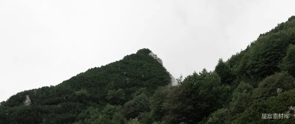 高清摄影 自然 壁纸 山脚下的一群树木