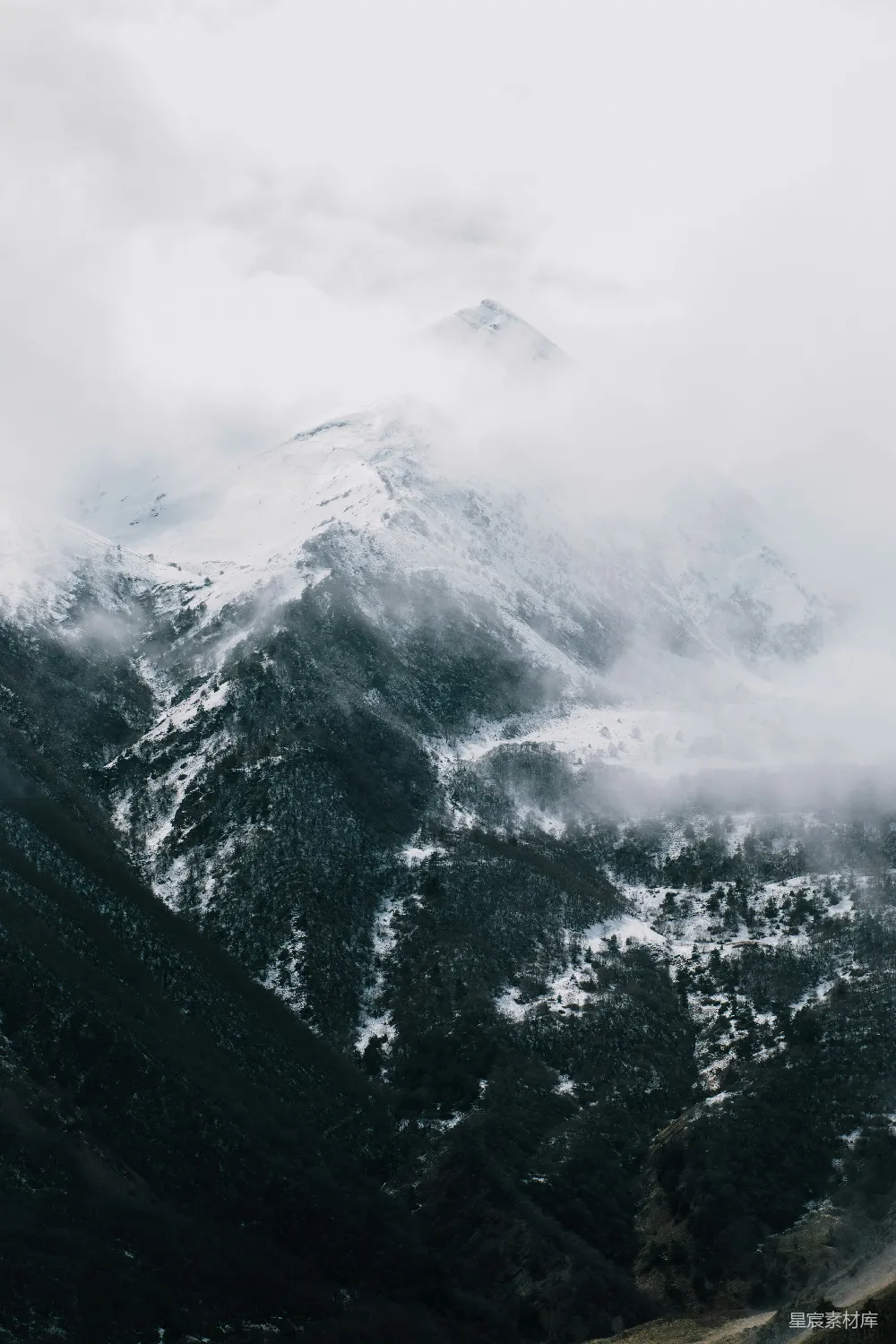 高清摄影 自然 壁纸 一座被雪和云雾覆盖的山