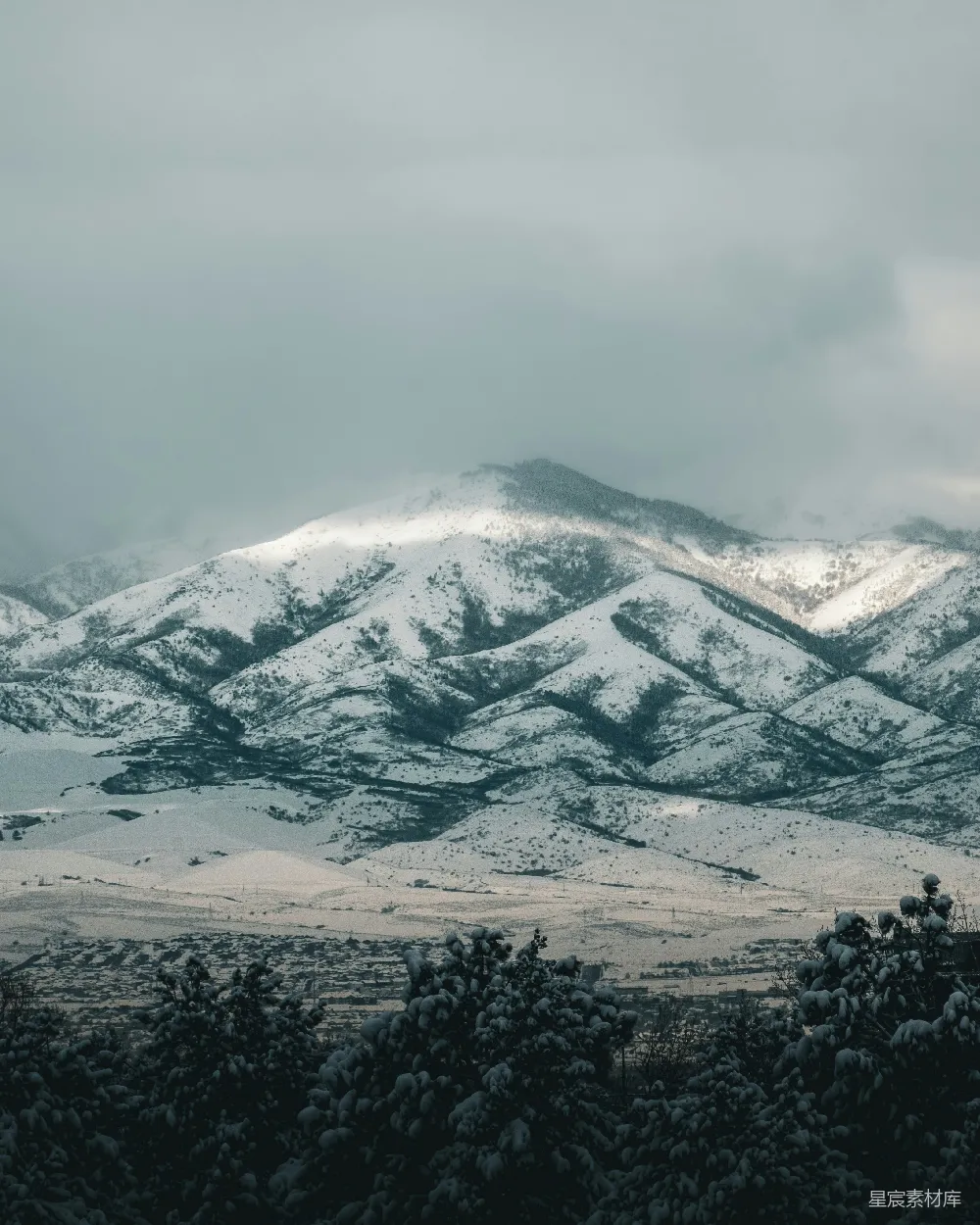 高清摄影 自然 覆盖着积雪的山脉，前景中有树木。