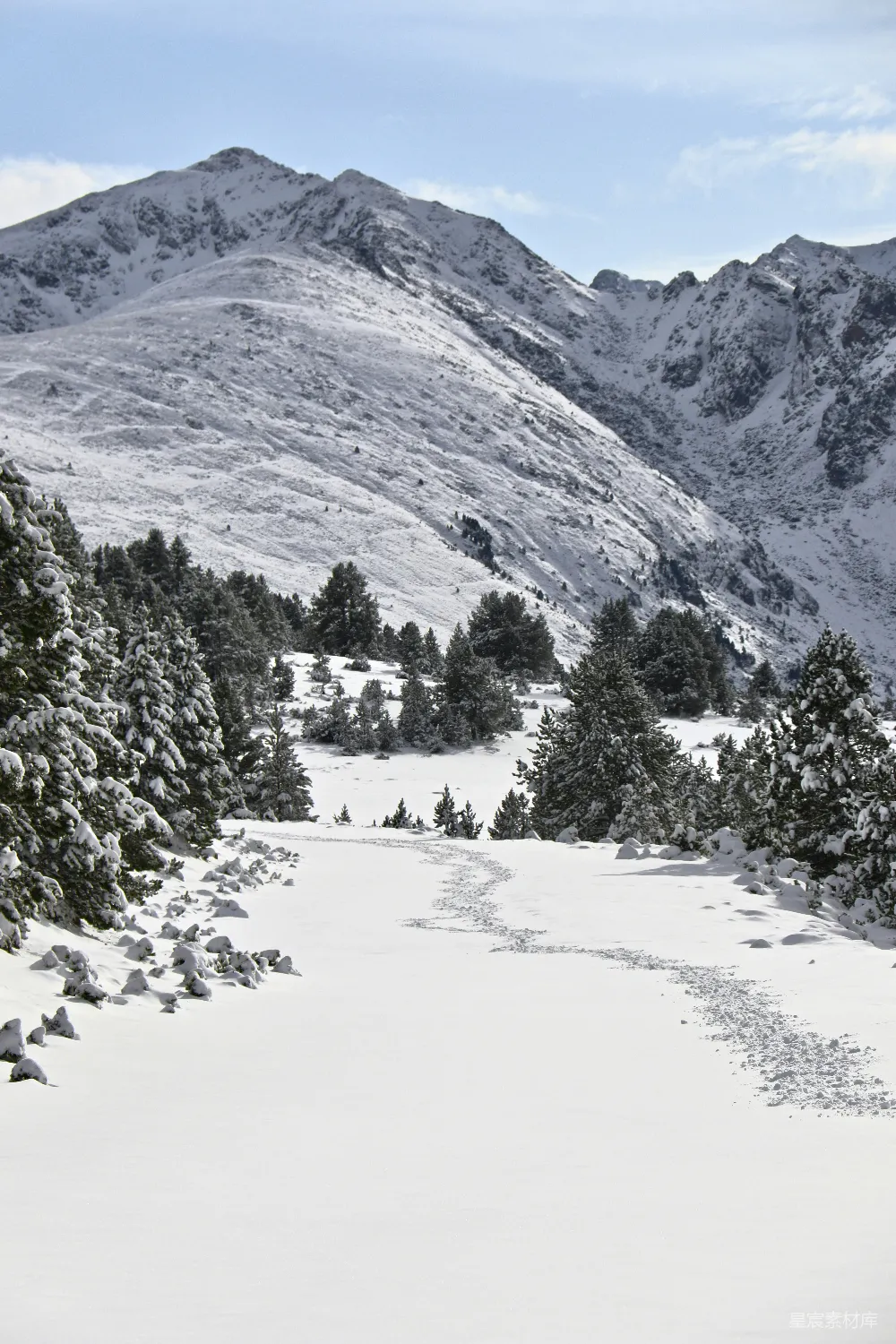 高清摄影 壁纸 自然 一座覆盖着积雪的山，山上有树木。
