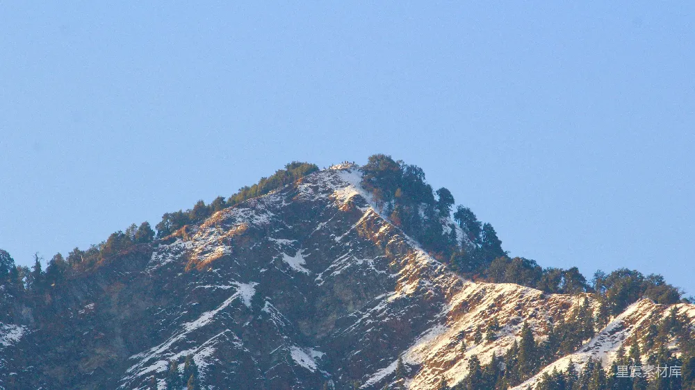 高清摄影  覆盖着雪的山峰，前景中有一些树木。