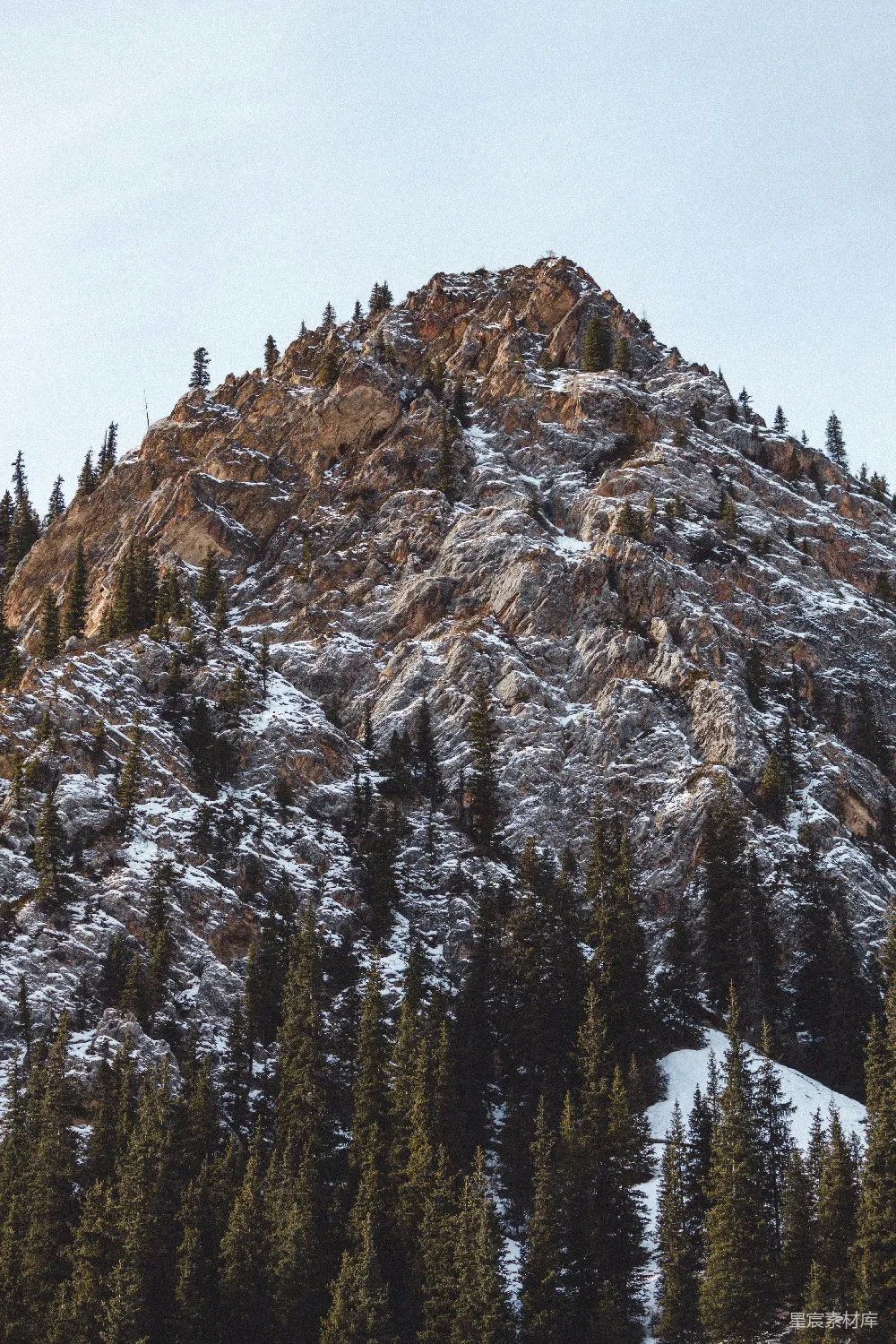 高清摄影  被积雪覆盖的山，周围环绕着松树。