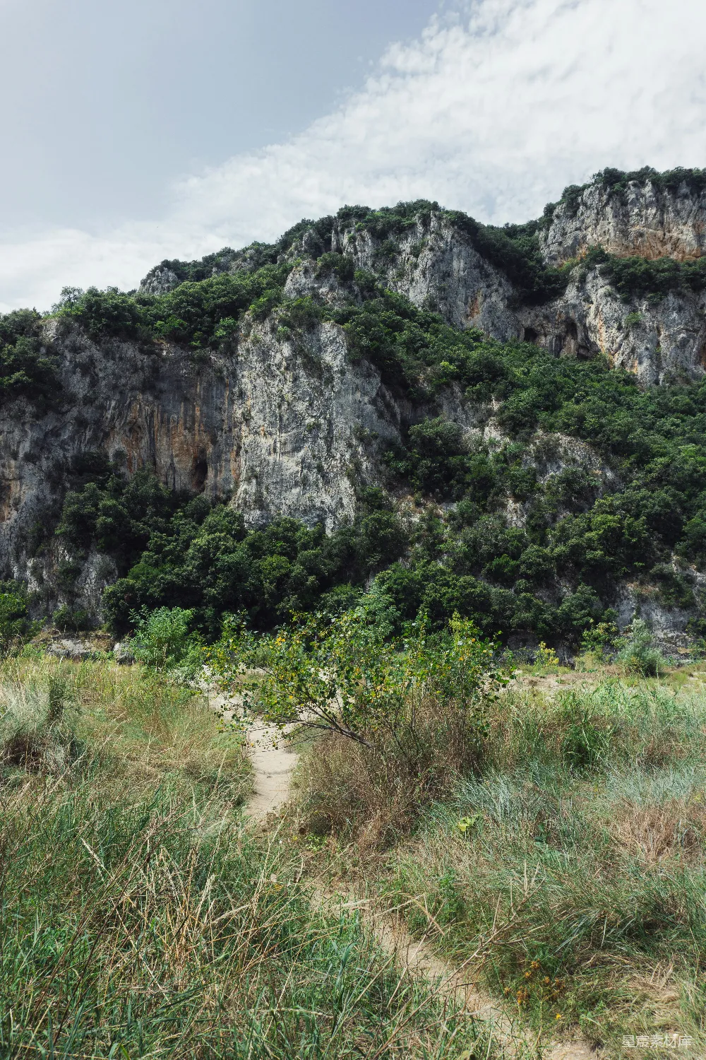 高清摄影  白天的绿色草地和灰色岩石山