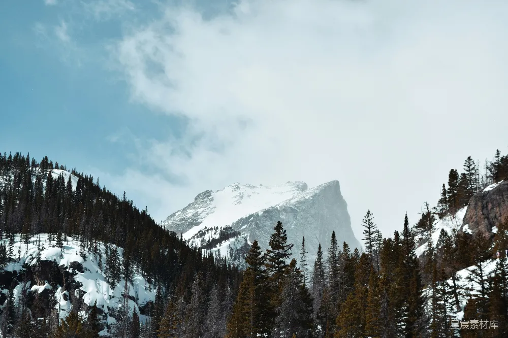 高清摄影  覆盖着积雪的山峰，前景中有树木。