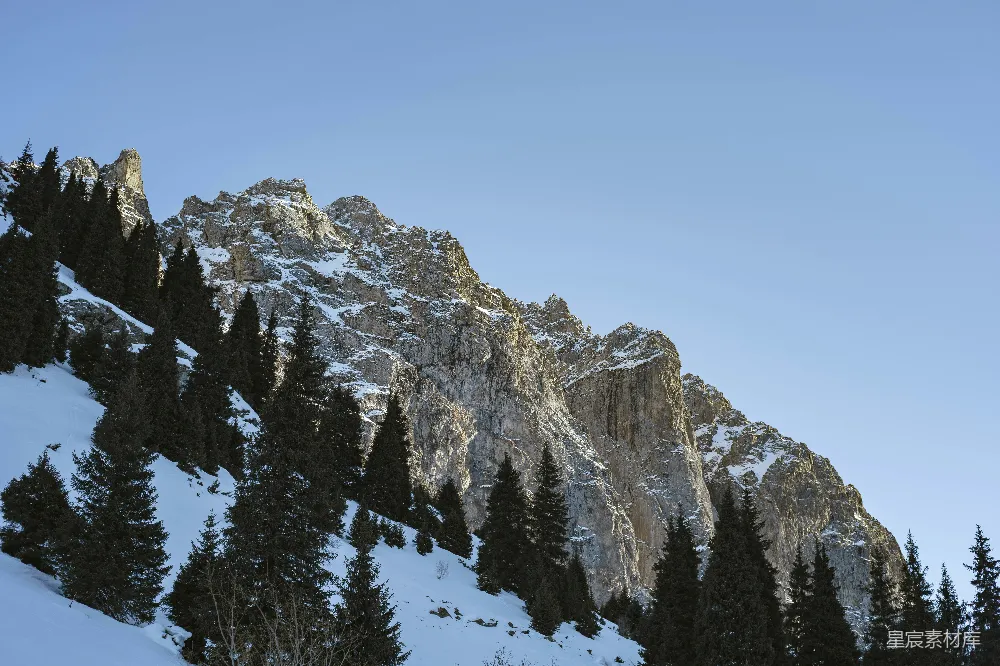 高清摄影  一座覆盖着积雪的山峰，前景中有一排松树。