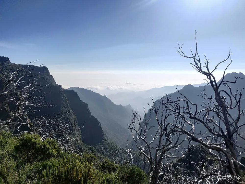 高清摄影  一座山脉的景色，前景中有一棵枯树。