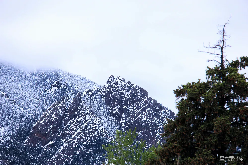高清摄影  山峦和树木覆盖着白雪