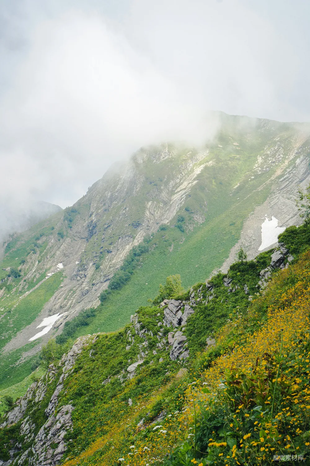 高清摄影 旅行 自然 壁纸 一座长满草的山坡，上面有树木和花朵。
