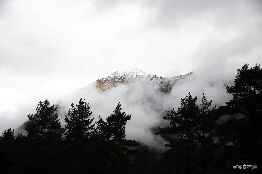 高清摄影 自然 云雾缭绕的山峦和树木在阴云密布的天空下。